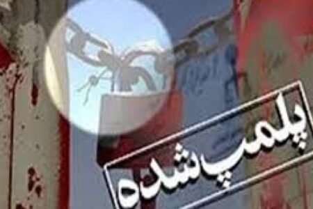 ۱۸ واحد صنفی متخلف بهداشتی در رودبارجنوب پلمپ شد