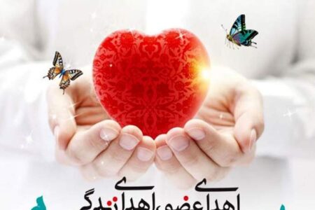 بانوی ۳۲ساله رفسنجانی نجات بخش زندگی ۳بیمار نیازمند عضو شد