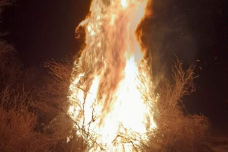 جشن سده نمونه کامل یک جشن اصیل و تمام عیار ایرانی