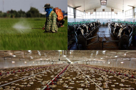 از شیر شتر تا گیاهان دارویی ارمغان کویر به کریمان