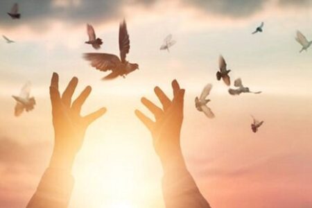 شرطی برای گذشت از قصاص؛ از خادمی امام رضا(ع) تا حفظ جزئی از قرآن