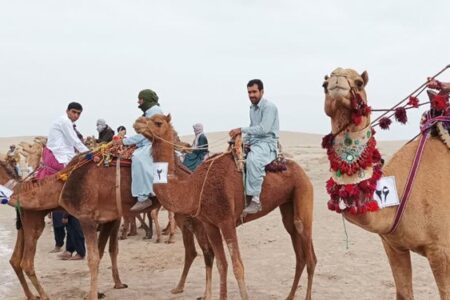 برگزاری مسابقات قهرمانی شترسواری جنوب‌شرق در بلندترین تپه‌های شنی ایران