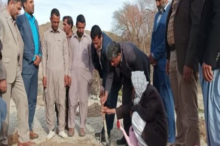 کاشت ۵ هزار نهال انجیر در روستاهای ریگان در راستای نهضت ملی کاشت درخت