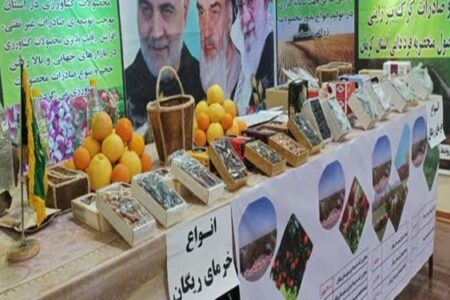 نمایش ظرفیت‌های شرق کرمان در جوار زاینده‌رود