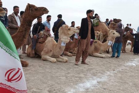 برگزاری مسابقات شتر سواری در بلندترین تپه‌های شنی ایران