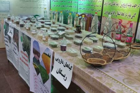 نمایش ظرفیت‌هاو پتانسیل ریگان در اصفهان