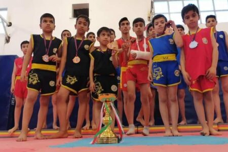 برگ زرین دیگری بر افتخارات ووشوکاران رفسنجانی