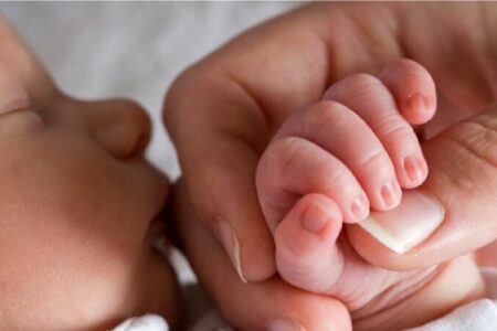 زاد و ولدها در کرمان افزایش یافت