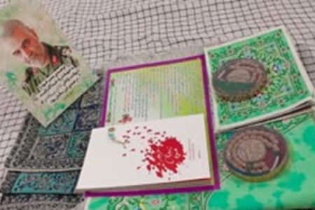 مرد جنگ و «نرگس و شایان»