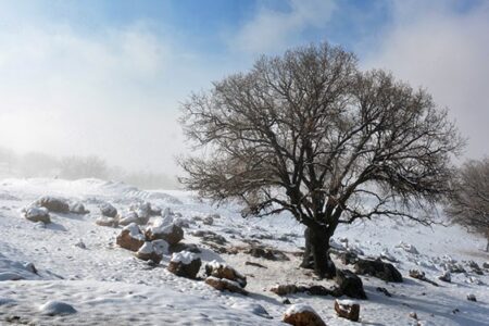 باران، برف و سیل در راه کرمان، هشدار زرد صادر شد