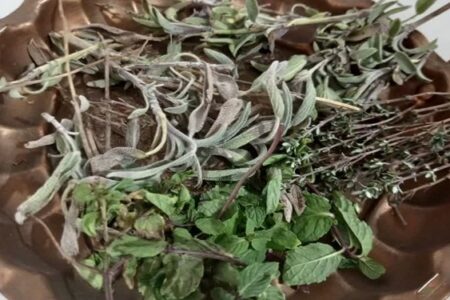 ترکیب این ۳ گیاه معجزه رفع سرفه‌های خشک و عفونت‌های گلو