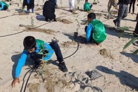 آغاز پویش "احیاء هلیل تا جازموریان" با کاشت ۲۰ میلیون اصله درخت در جنوب کرمان 