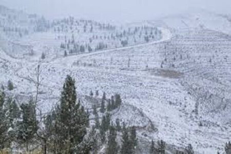 آسمان استان کرمان پایان هفته بارانی و برفی می شود