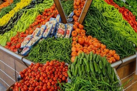 تولید سالانه بیش از ۵ میلیون تن محصول کشاورزی در جنوب کرمان