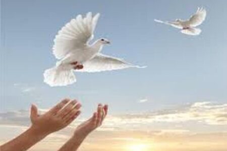 اقدام خیرخواهانه خانواده جیرفتی در آزادی ۱۱ زندانی جرائم غیرعمد