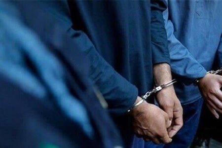 ۴۰ میلیارد ریال اموال مسروقه در پرونده سارقان فراستانی منزل در کرمان