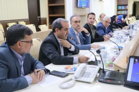 ۶۳۱ نهاد مردمی در استان کرمان فعال است/ امکان اعلام جرم توسط این نهادها