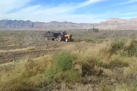 گلایه کشاورزان کرمانی از نقش کمرنگ بیمه در مواقع سیل و سرما