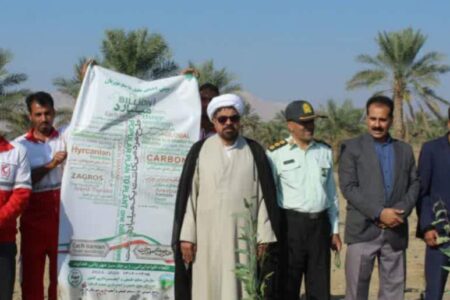 آغاز طرح کاشت درخت در شهرستان فاریاب