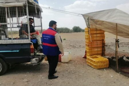 پرنده‌فروشی‌های غیرمجاز و دوره‌گرد جمع‌آوری می‌شوند