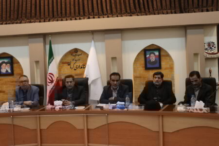 کرمان به عنوان پایلوت شهر بدون جدول انتخاب شود