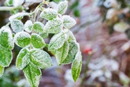 ۷ شهر کرمان دمای زیر صفر را تجربه کردند