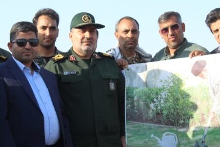 آغاز طرح نهال‌کاری در ۱۶۶ هکتار از اراضی بیابانی فاریاب