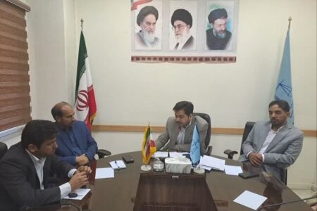 شرق استان کرمان  با معضل جابجایی غیرمجاز اتباع بیگانه مواجه است