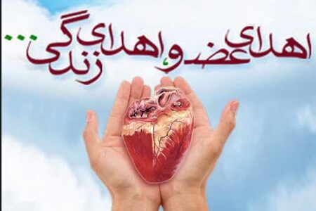 دختر ۵ ساله اهل منوجان نجات بخش زندگی سه نفر شد