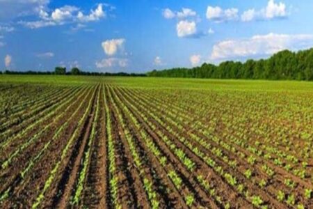 افتتاح ۱۳۴ طرح کشاورزی در جنوب کرمان به‌مناسبت دهه فجر