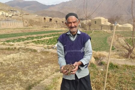 سرمای کرمان و بازار داغ شلغم کوهبنان