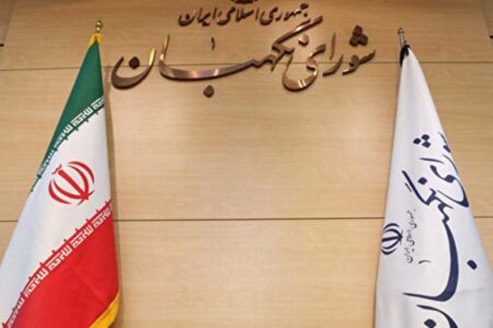 داوطلبان انتخابات برای طرح شکایت، چگونه باید اقدام کنند؟