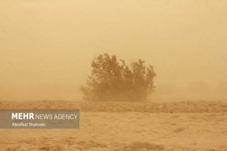 طوفان شن به گلخانه های شهرستان بم خسارت زد