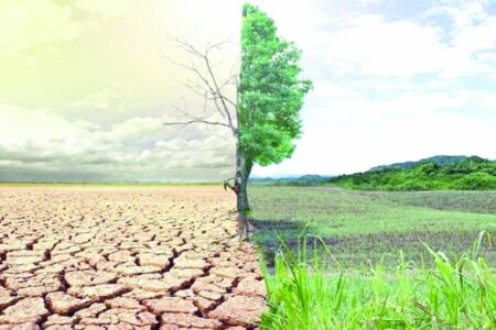 مقام نخست کرمان در اجرای طرح های بیابان زدایی