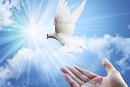 خواهر و برادر کرمانی با عیدی‌های خود دو زندانی را آزاد کردند