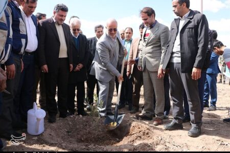 کاشت ۸ هزار اصله نهال در صنایع کرمان آغاز شد+تصویر