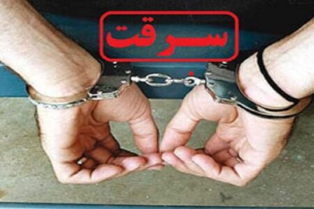 کرمان، رفسنجان، سیرجان و بم چهار شهرستان اول استان از نظر تعداد فراوانی سرقت
