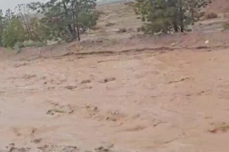 بارش باران شدید باعث جاری شدن سیلاب و آبگرفتگی معابر شهر زرند شد