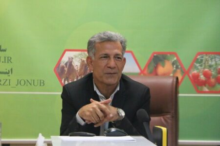 تامین امنیت غذایی سفره مردم به دست کشاورزان/ خودکفایی جنوب کرمان در تولید بذر