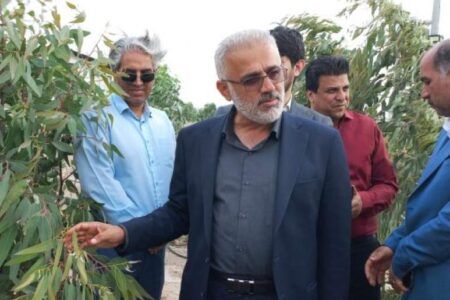 عملکرد خوب در طرح مردمی ۱ میلیارد درخت جنوب کرمان