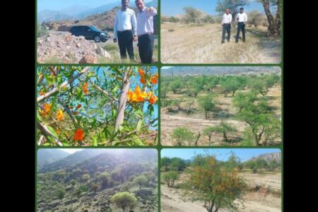 ذخیره‌گاه‌های جنگلی گنجینه‌ای که باید حفظ شود