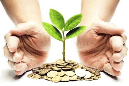 جذب سرمایه با حفظ اکوسیستم‌ جانوری و تنوع زیستی