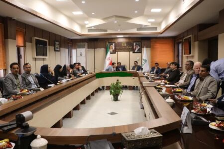 رتبه برتر دانشگاه علوم‌ پزشکی جیرفت در حوزه مستند‌سازی اسناد