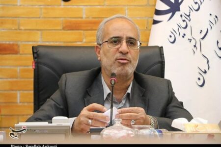 تسهیلات خوبی برای درمان ناباروری در استان کرمان اختصاص دادیم