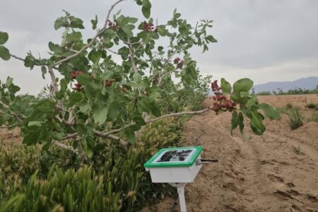 نصب ۱۰ ایستگاه هوشمند آب و هواشناسی در شهرستان زرند