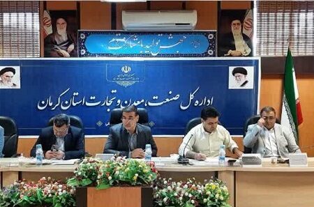 بررسی پرونده ۳۰ واحد تولیدی در کمیته تخصصی