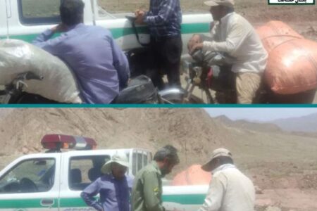 برخورد قاطع با بهره‌برداری غیرمجاز گیاهان دارویی