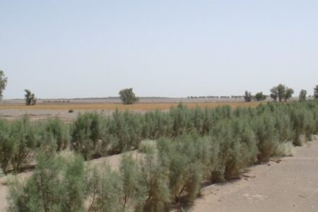 کرمان، پیشانی بیابان‌زداییِ کشور