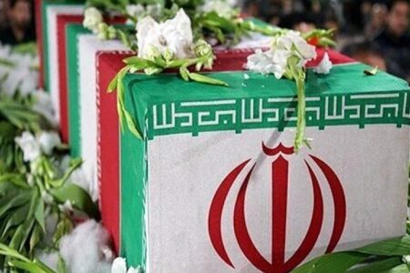 پشتیبانی از ولایت فقیه واجب است