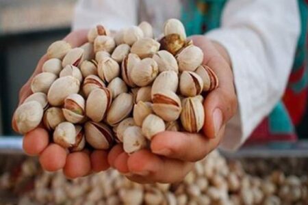 پسته پیشتاز صادرات محصولات کشاورزی